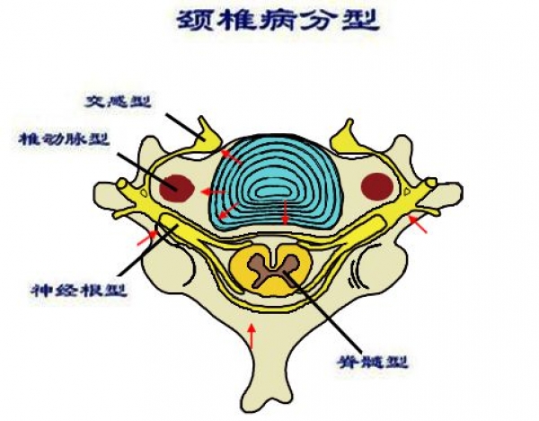 微信图片_20190719102333_副本.jpg