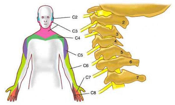 image44.png