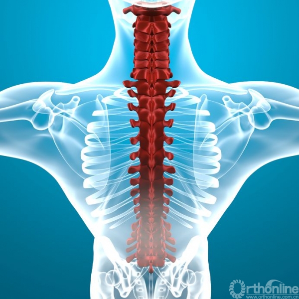4706-spine_anatomy_36512690_m.jpg
