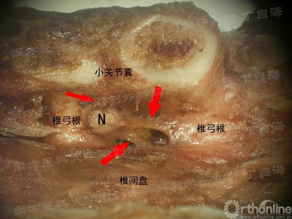 9_副本.jpg