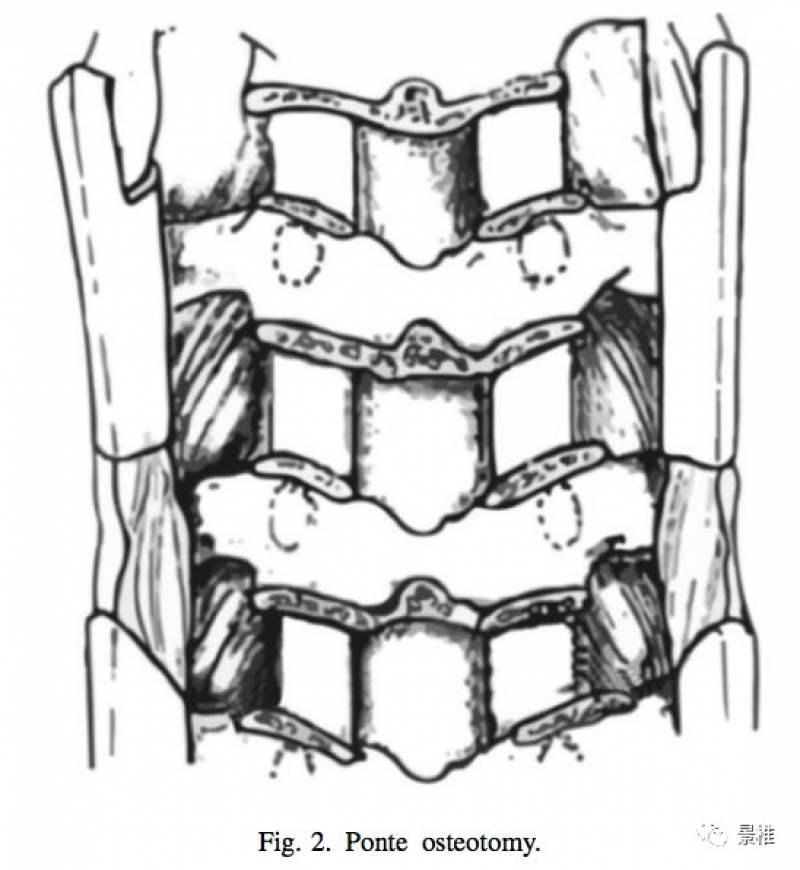 image11.jpg