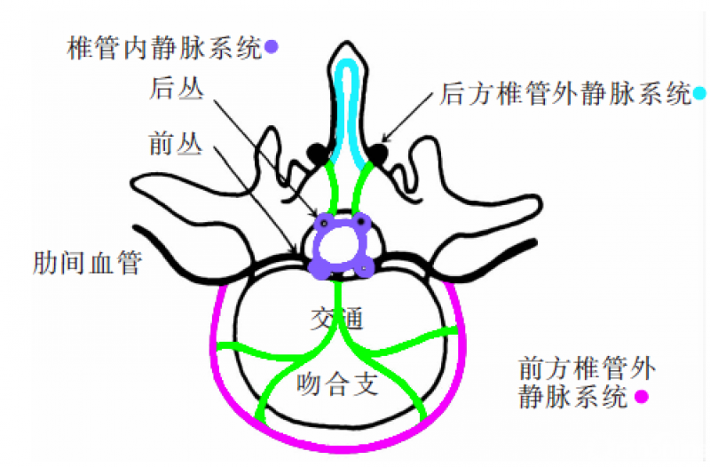 微信图片_20190612160150.png
