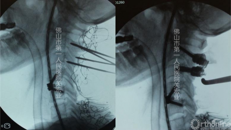 image19_副本.jpg
