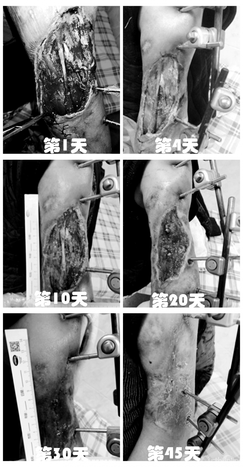 NeoImage_副本_副本.jpg