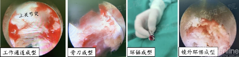 图片12_副本.png