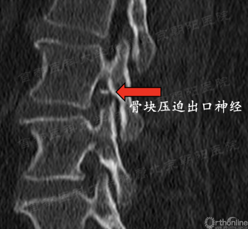 图片25_副本.png