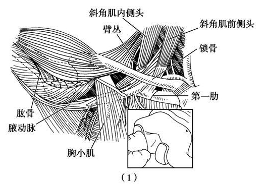 图2-3-6-(1).jpg