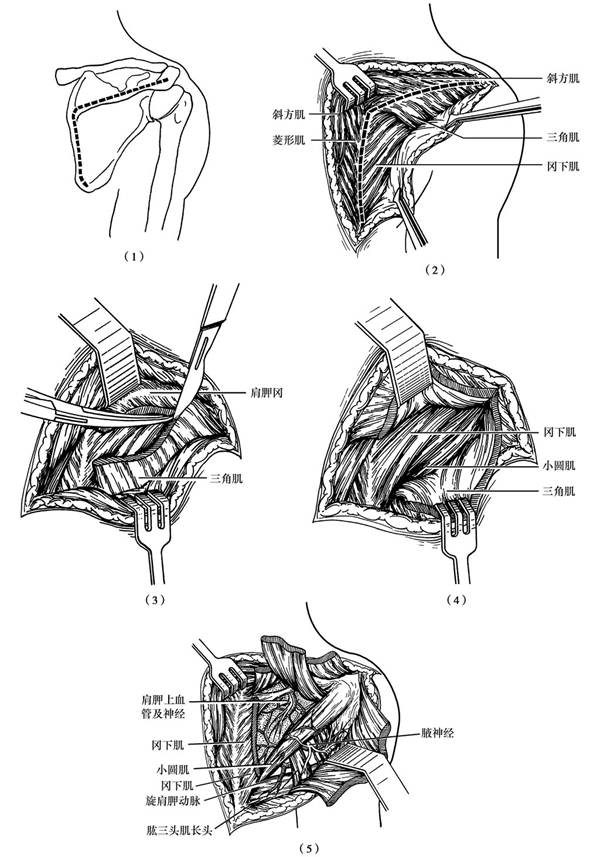 微信图片_20210126150912.jpg