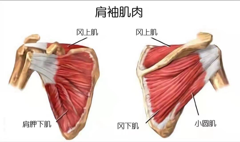 微信图片_20210819105443.jpg