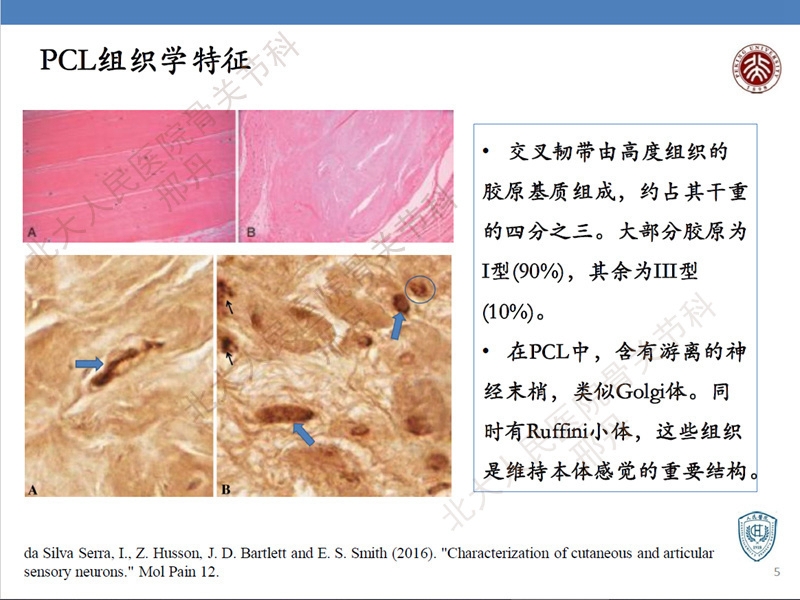 ppt5.jpg