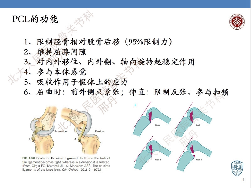 ppt6.jpg