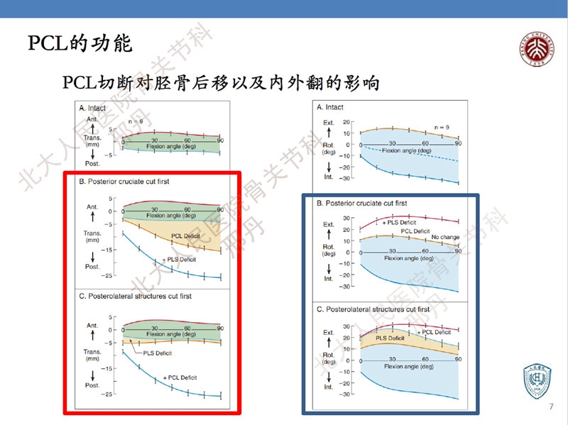 ppt7.jpg