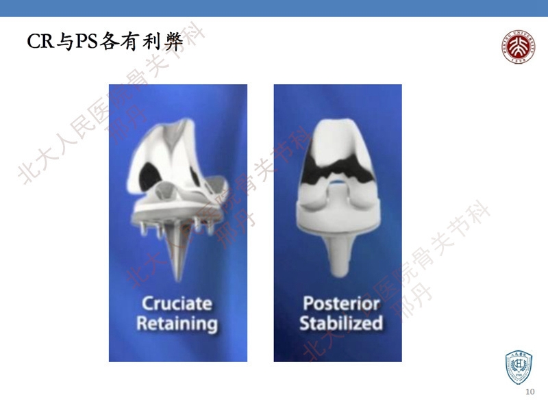 ppt10.jpg
