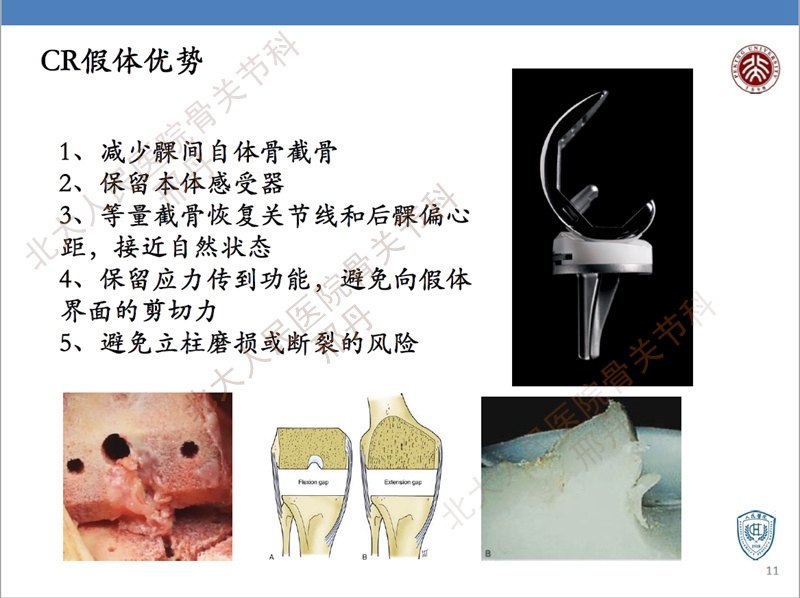 ppt11.jpg