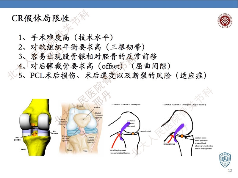 ppt12.jpg