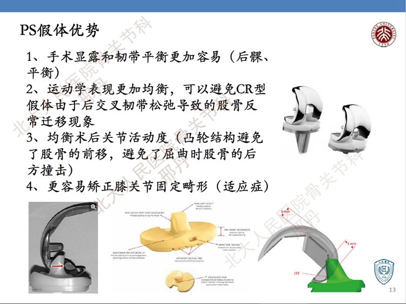 ppt13.jpg