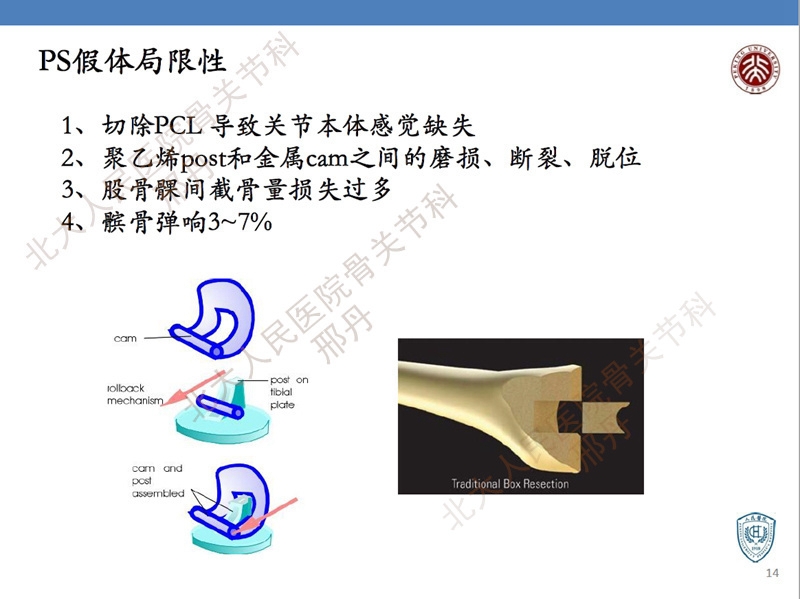 ppt14.jpg