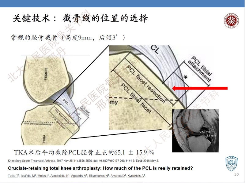 ppt50.jpg