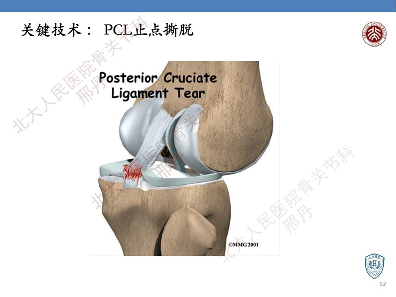 ppt52.jpg