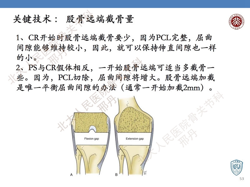 ppt53.jpg