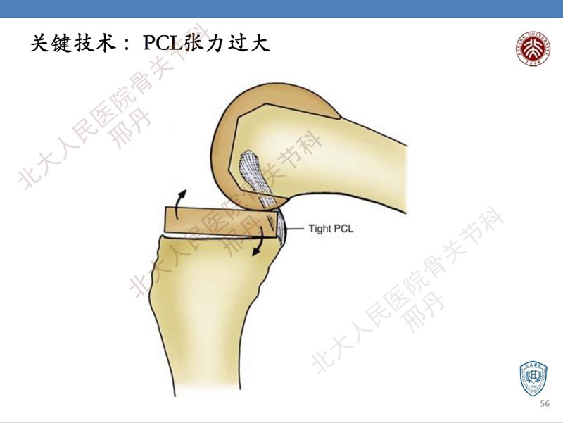 ppt56.jpg