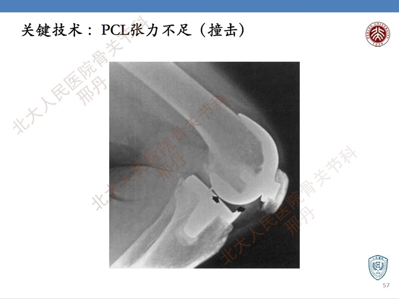 ppt57.jpg