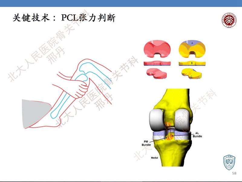 ppt58.jpg