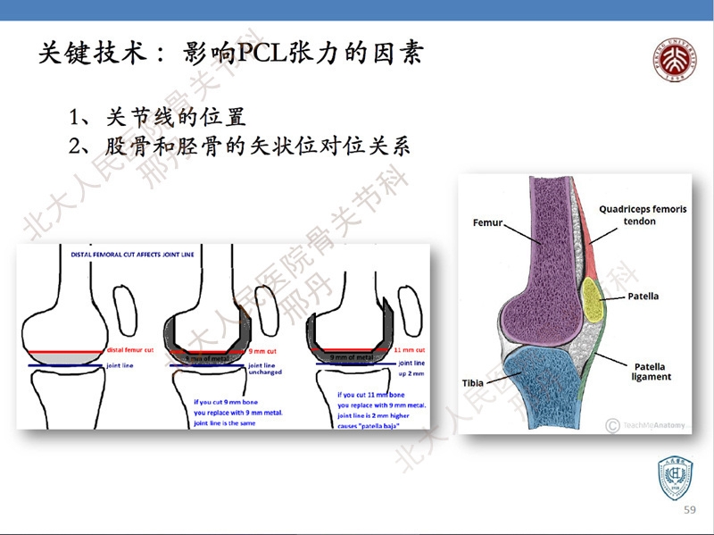 ppt59.jpg