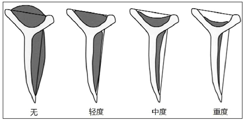 图8.jpg