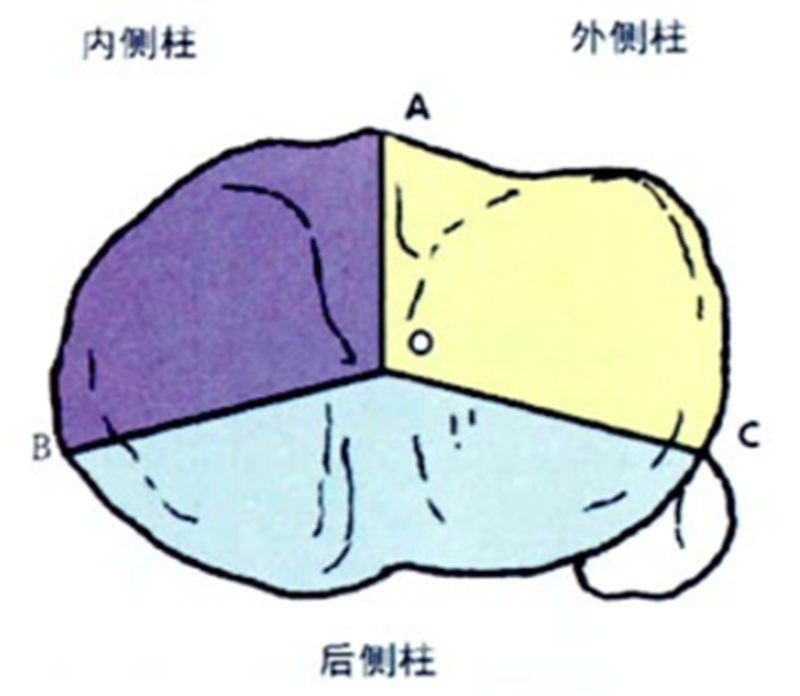 图5三柱.png