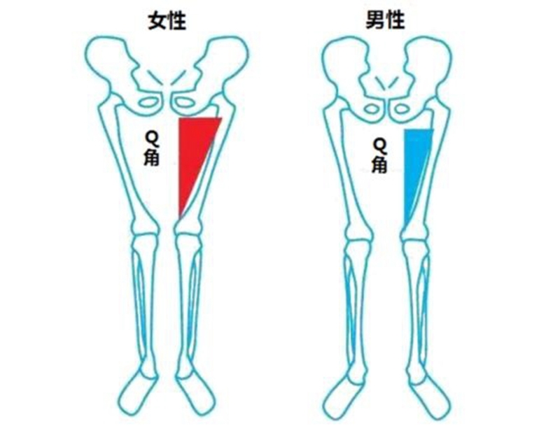 v2-0f0fb31e76c864ece5f2c9c2e5c0cba3_r.jpg
